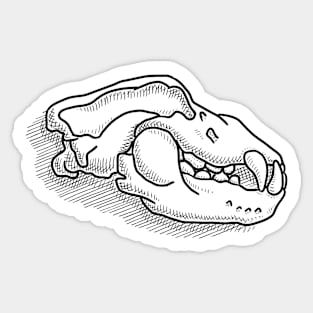 Ursus Spelaeus, Cave Bear Skull Line-Drawing Sticker